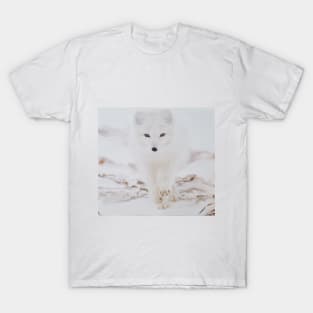 White wolf in the snow T-Shirt